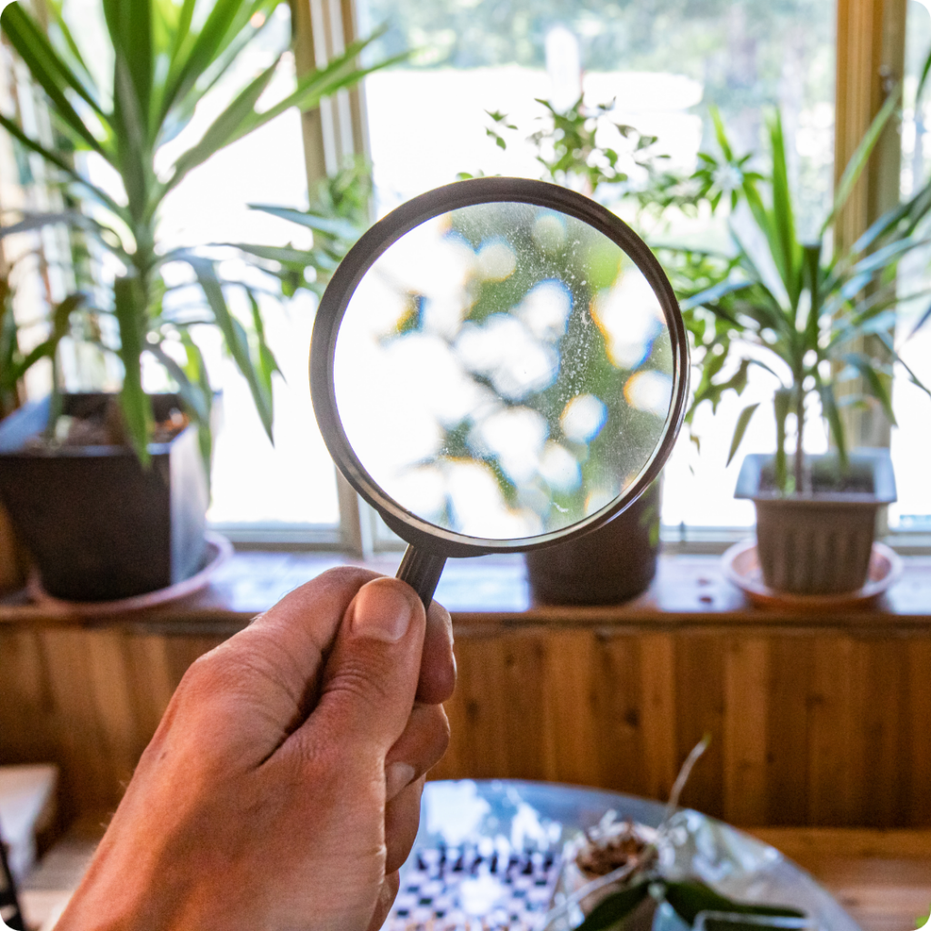 5 Indoor Air Quality Tips For South Jersey Residents!